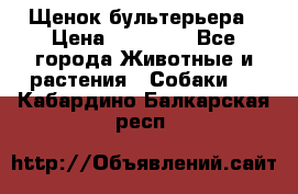 Щенок бультерьера › Цена ­ 35 000 - Все города Животные и растения » Собаки   . Кабардино-Балкарская респ.